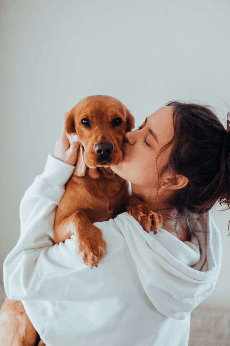 Fellwechsel beim Hund: Diese Pflegetools helfen wirklich
