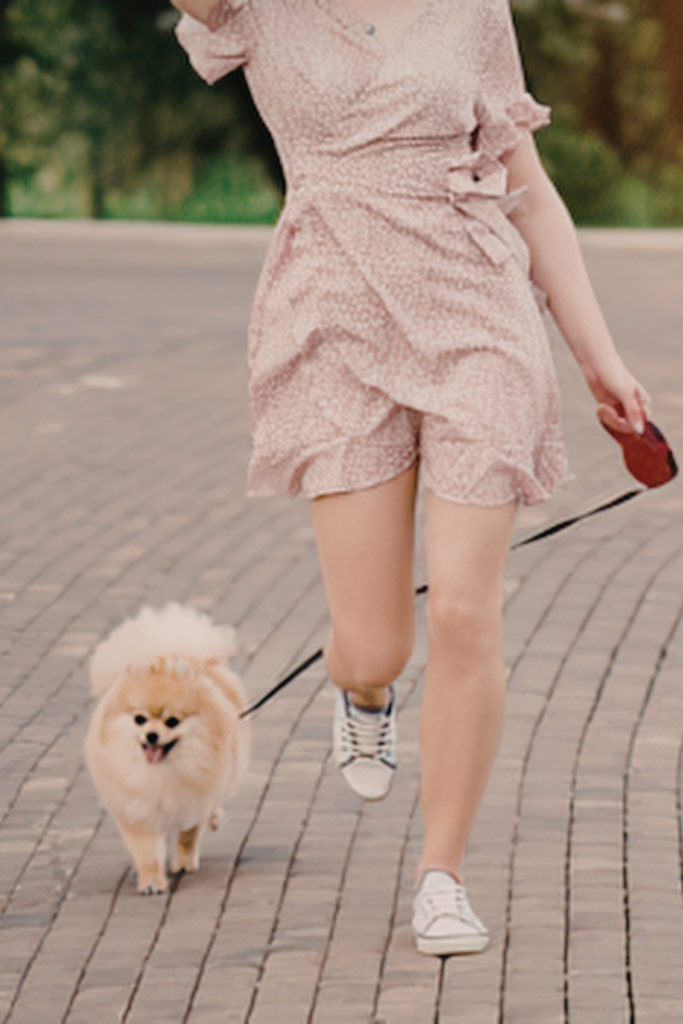 Stylische Taschen für den Hundespaziergang ohne Leckerlibeutellook