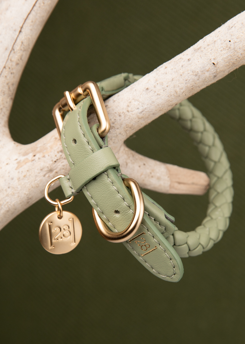 2.8 Design for Dogs Ferdinando geflochtenes Lederhalsband in Grün mit Markenanhänger