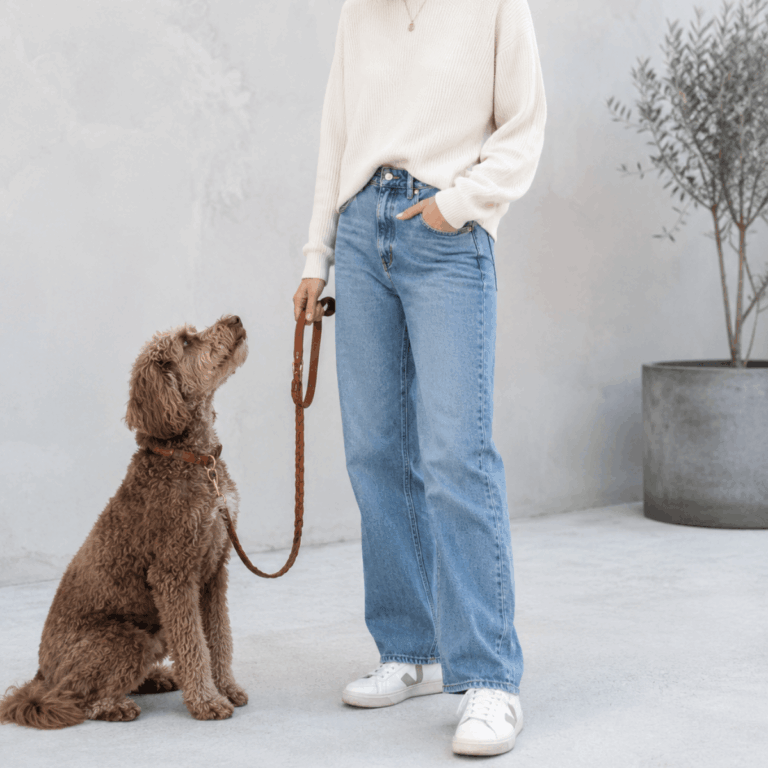 9 besondere Lederhalsbänder für deinen Hund