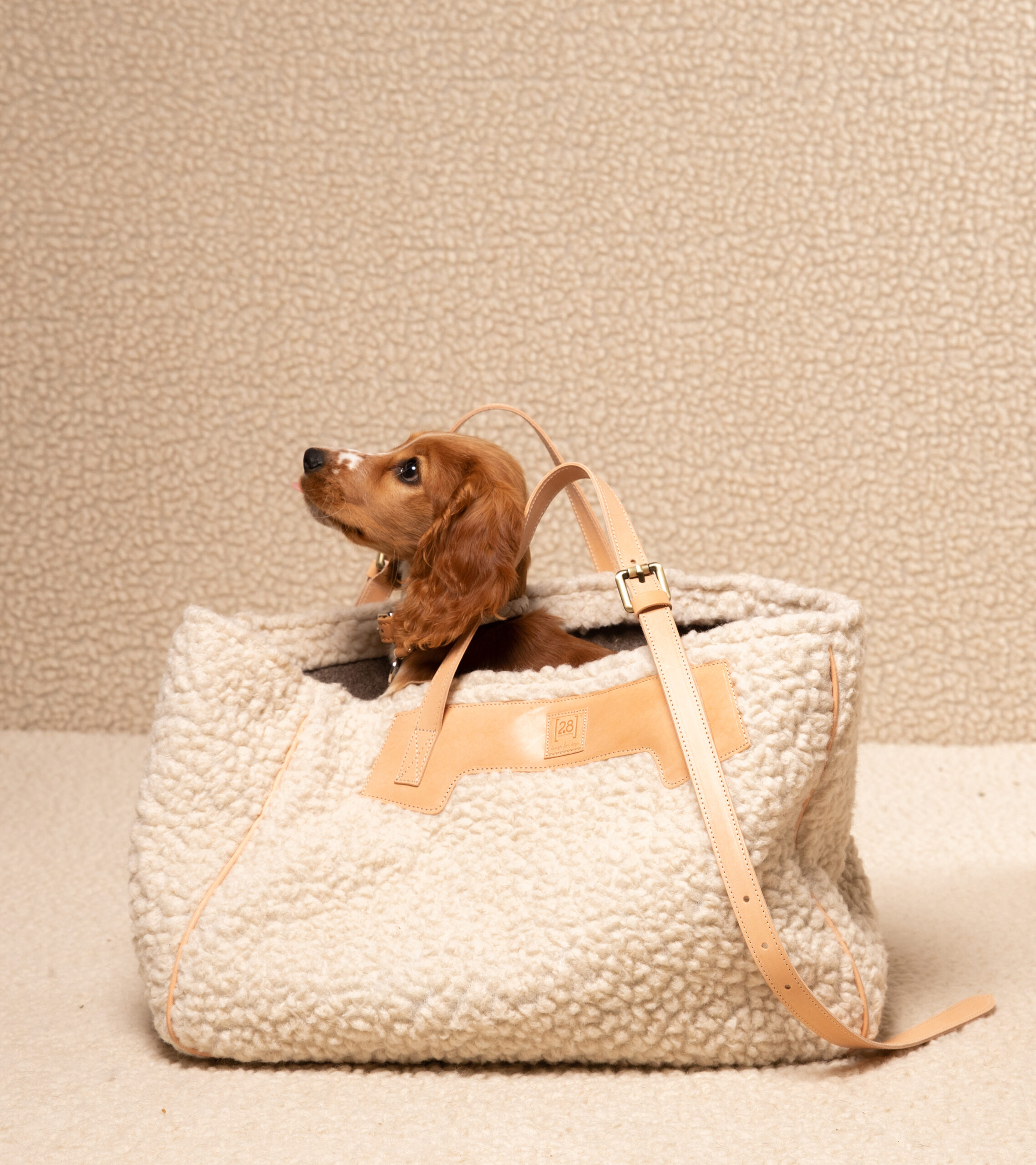 Welpe schaut aus der 2.8 Design for Dogs MARGARET Bouclé-Hundetragetasche mit Naturledergriffen